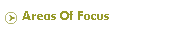 Areas Of Focus